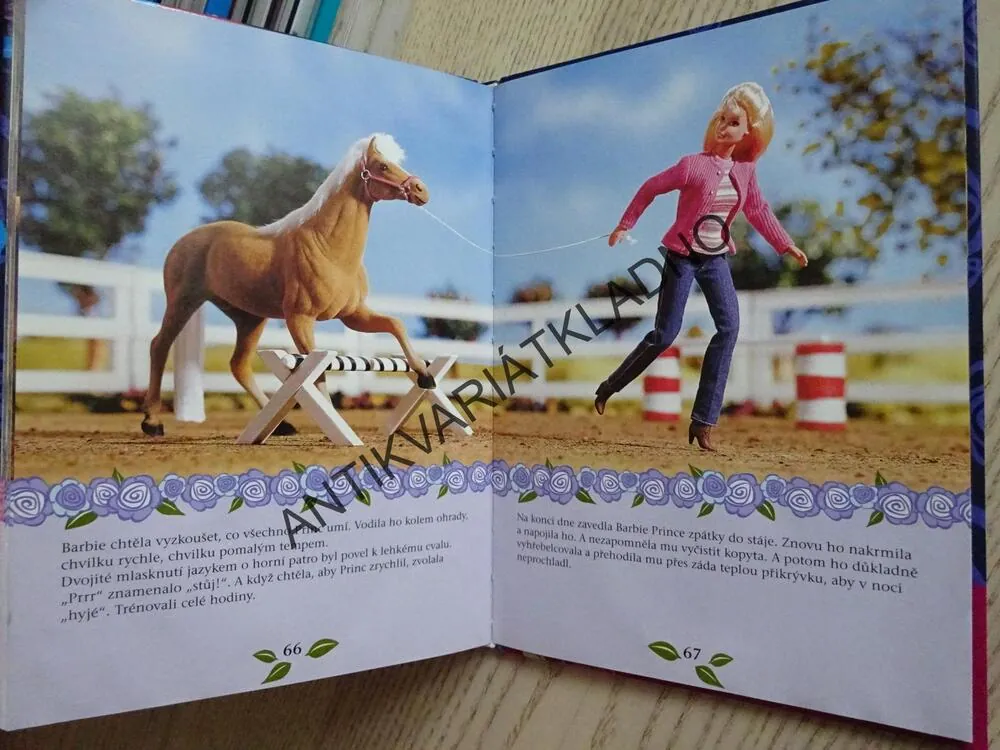 BARBIE A JEJÍ DOBRODRUŽSTVÍ, **an