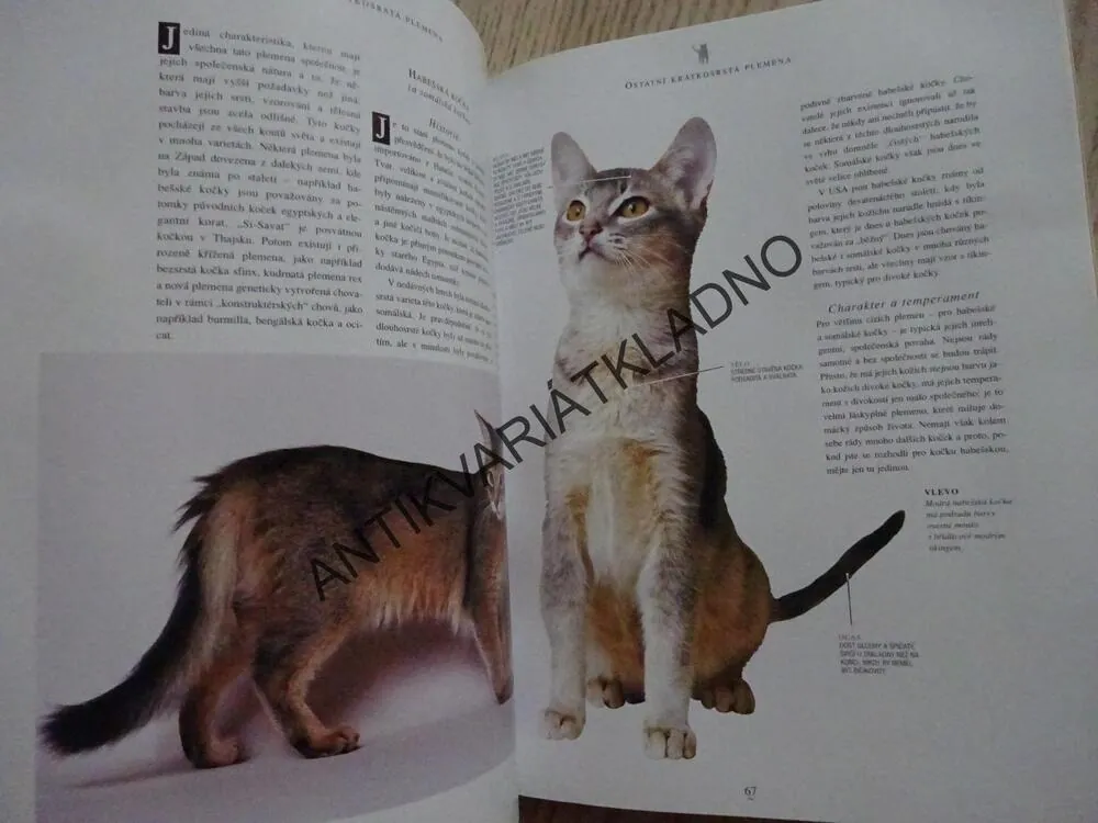 ILUSTROVANÁ ENCYKLOPEDIE, PLEMENA KOČEK CELÉHO SVĚTA, **an