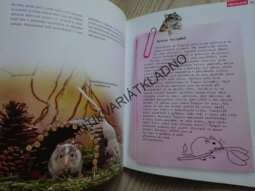 MŮJ PÍSKOMIL A JÁ, KÖTTER, STEIMEROVÁ, **an
