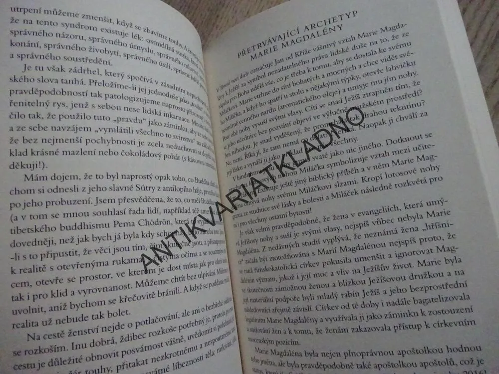 NESPOUTANÁ MILOST, MIRABAI STARR, **an