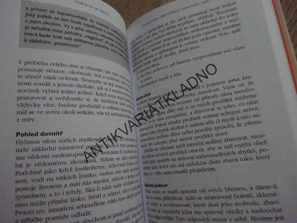 UZDRAVTE SE LÁSKOU, POTŘEBA DUŠEVNÍ ČISTOTY, DAVID SIMON, **an