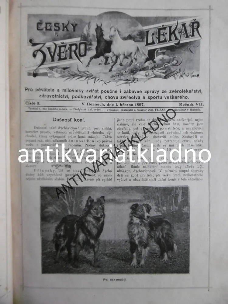 ČESKÝ ZVĚROLÉKAŘ,1897, ČASOPIS, VETERINÁŘ,