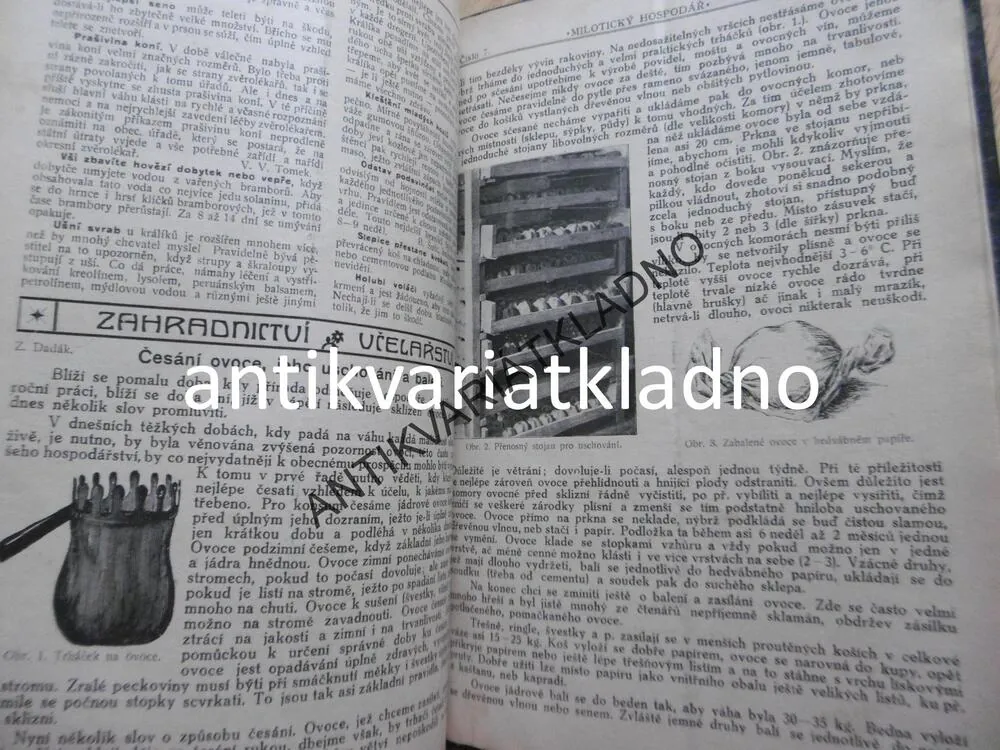 MILOTICKÝ HOSPODÁŘ 1920, DADÁK,CHOVATELSTVÍ