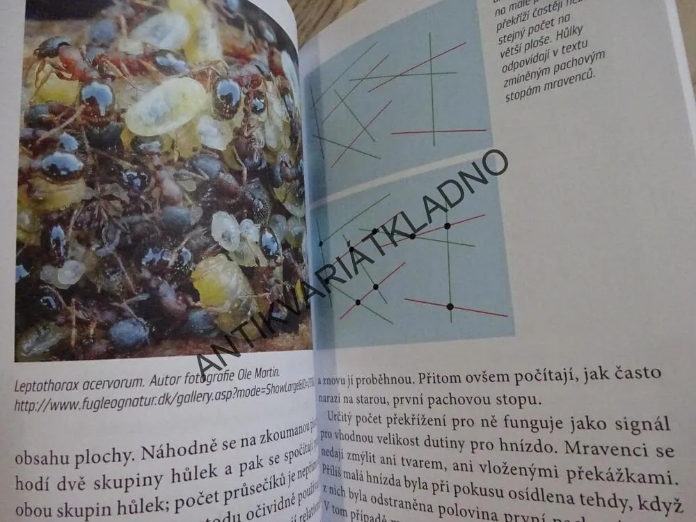 OBDIVUHODNÁ TAJEMSTVÍ ZE SVĚTA PŘÍRODY, ZVÍŘATA, JUNKER, **an