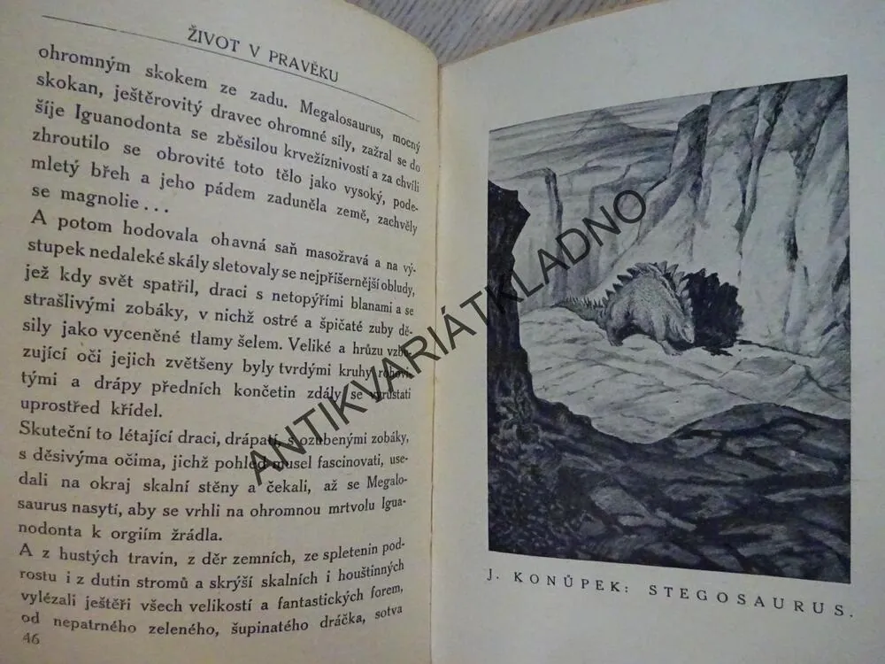 ŽIVOT V PRAVĚKU, RUDOLF RICH. HOFMEISTER, **an