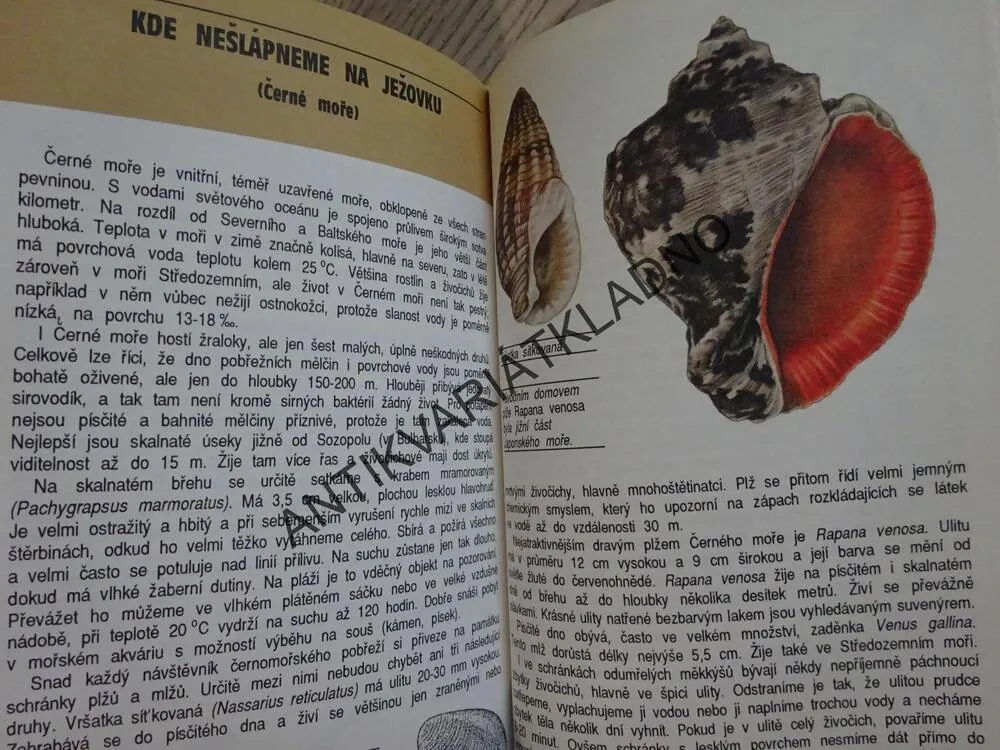 SVĚT POD MOŘSKOU HLADINOU, PFLEGER, KNOTEK, **an