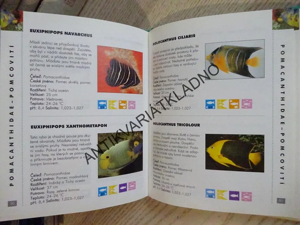 MOŘSKÉ AKVARIJNÍ RYBY, OBRAZOVÝ PRŮVODCE 4, **an