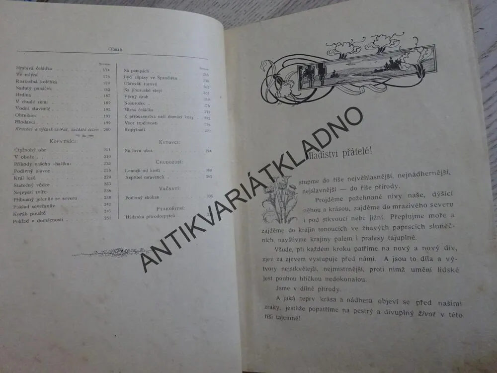 DOMA I V CIZINĚ, JAN DOLENSKÝ, **an