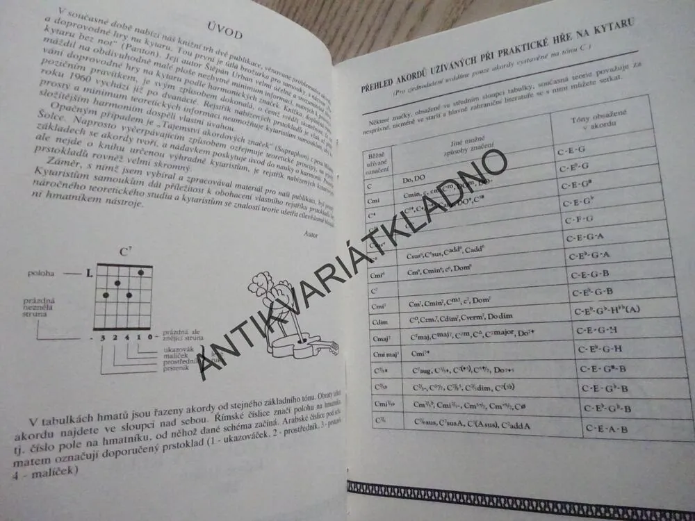 1419 KYTAROVÝCH AKORDŮ, HAVLÍK, VELINSKÝ, AKORDY, KYTARA