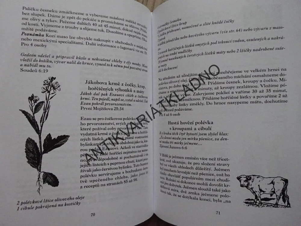 BIBLICKÁ HOSTINA, POKRMY ZE SVATÉ ZEMĚ, **an