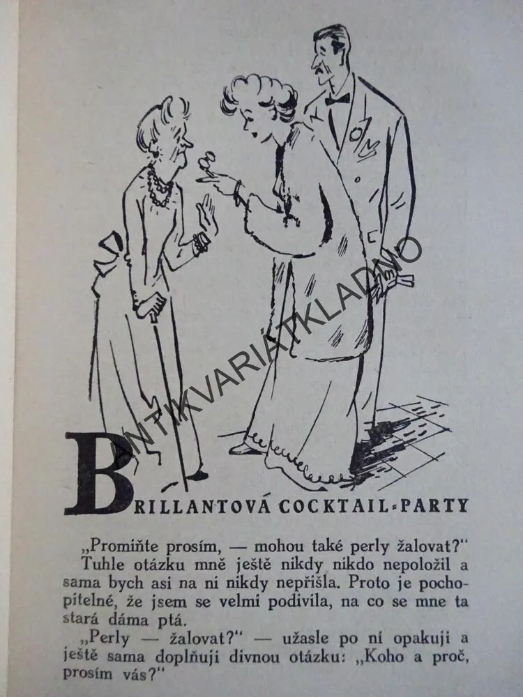 SRDCE A PARAGRAF, BOŽENA PÁTKOVÁ, **an