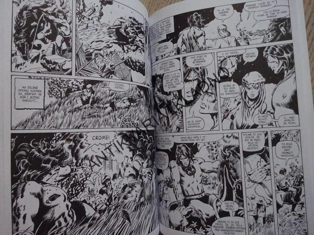 BARBAR CONAN (KNIHA 02), COMICSOVÉ LEGENDY 5, **an