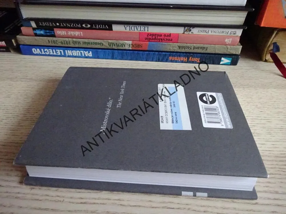 MĚLA JSI VŮBEC NĚKDY RODINU?, BILL CLEGG, **an