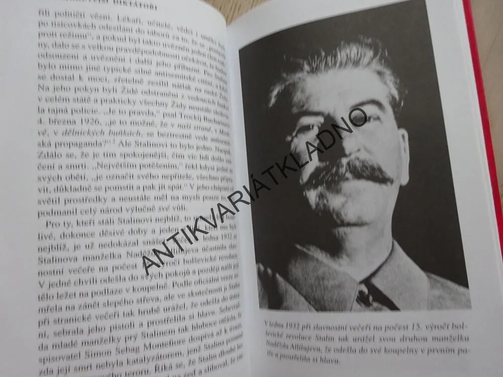 NEJKRUTĚJŠÍ DIKTÁTOŘI V DĚJINÁCH, SHELLEY KLEIN, **an