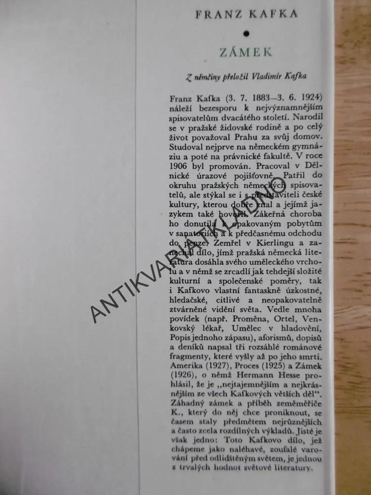 ZÁMEK, FRANZ KAFKA