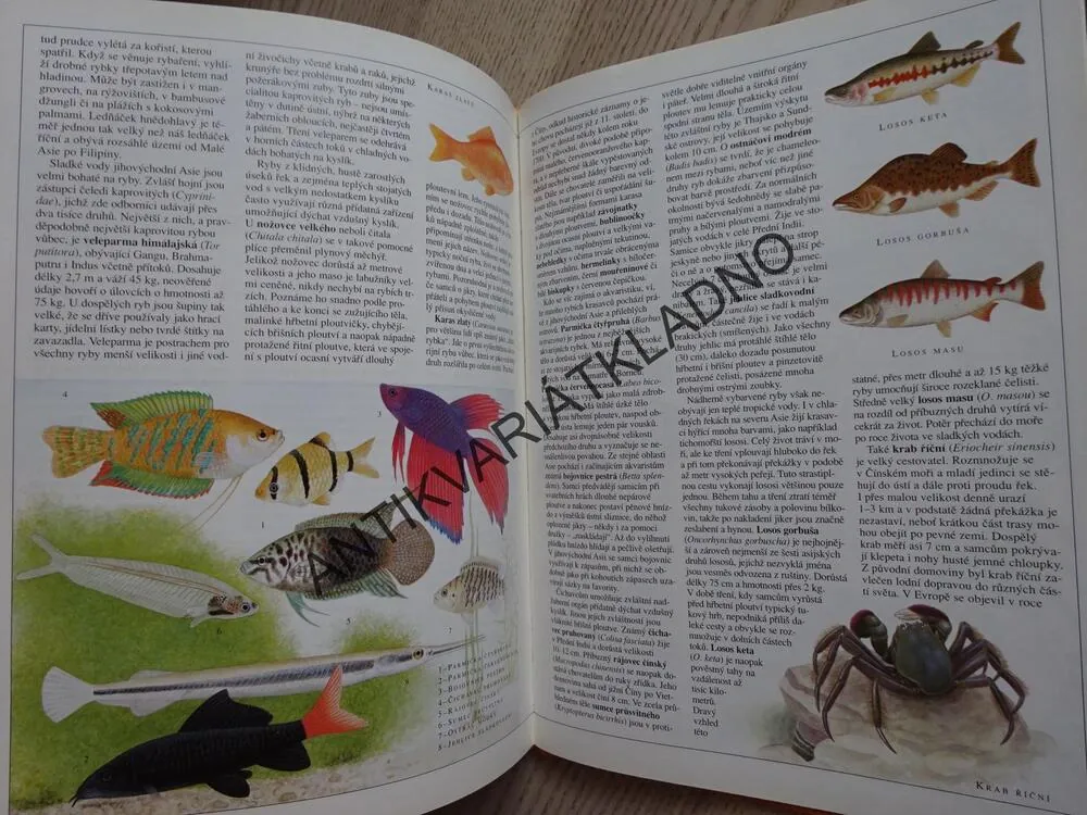ZVÍŘATA ASIE, MILOŠ ANDĚRA, JIŘÍ POLÁK, **an
