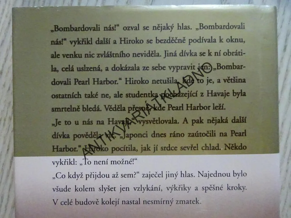 TICHÁ HRDOST, DANIELLE STEELOVÁ, **an