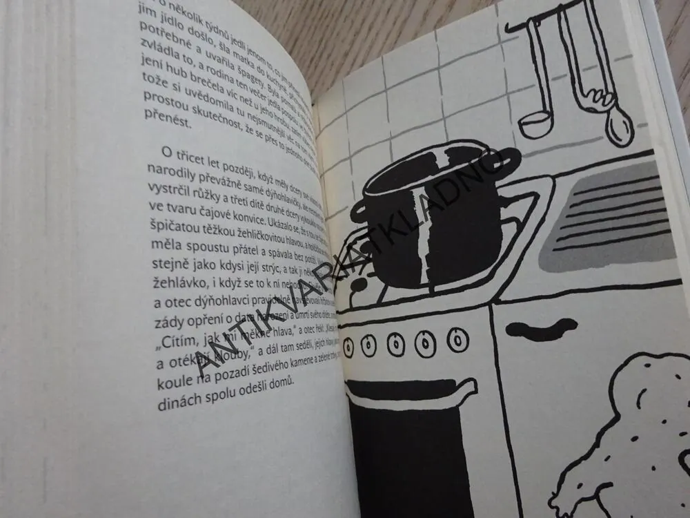 TVRDOHLAVÁ STVOŘENÍ, AIMEE BENDEROVÁ, **an