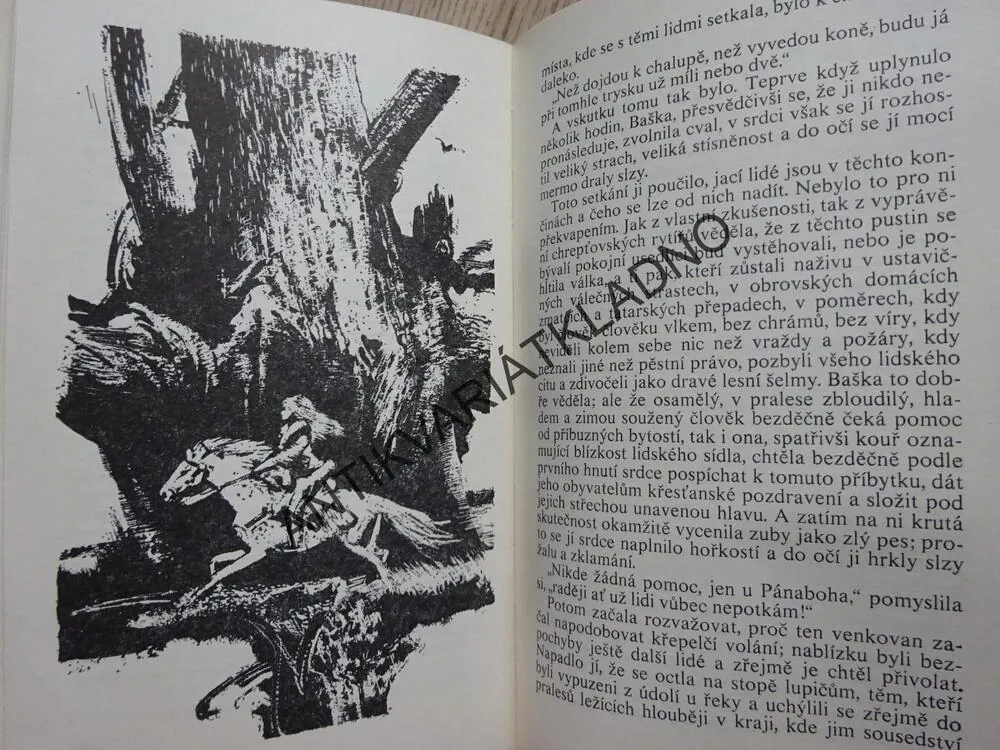 PAN VOLODYJOVSKI, HENRYK SIENKIEWICZ, **an