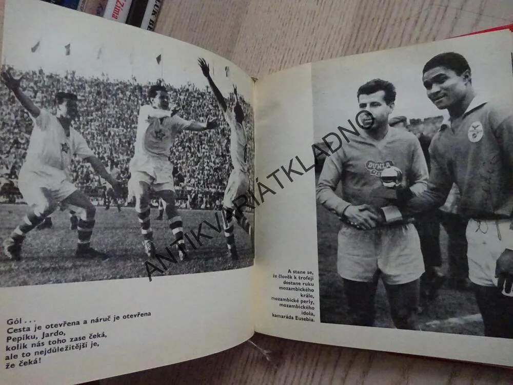 ŽIVOT BEZ NEDĚLÍ, OTAKAR BRŮNA, FRANTIŠEK STEINER, VÍT HOLUBEC, **an