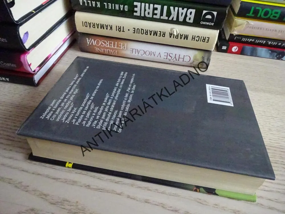 ZÁSAH V KRIZI, ANDY MCNAB, **an