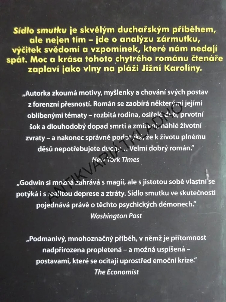SÍDLO SMUTKU, GAIL GODWIN, **an