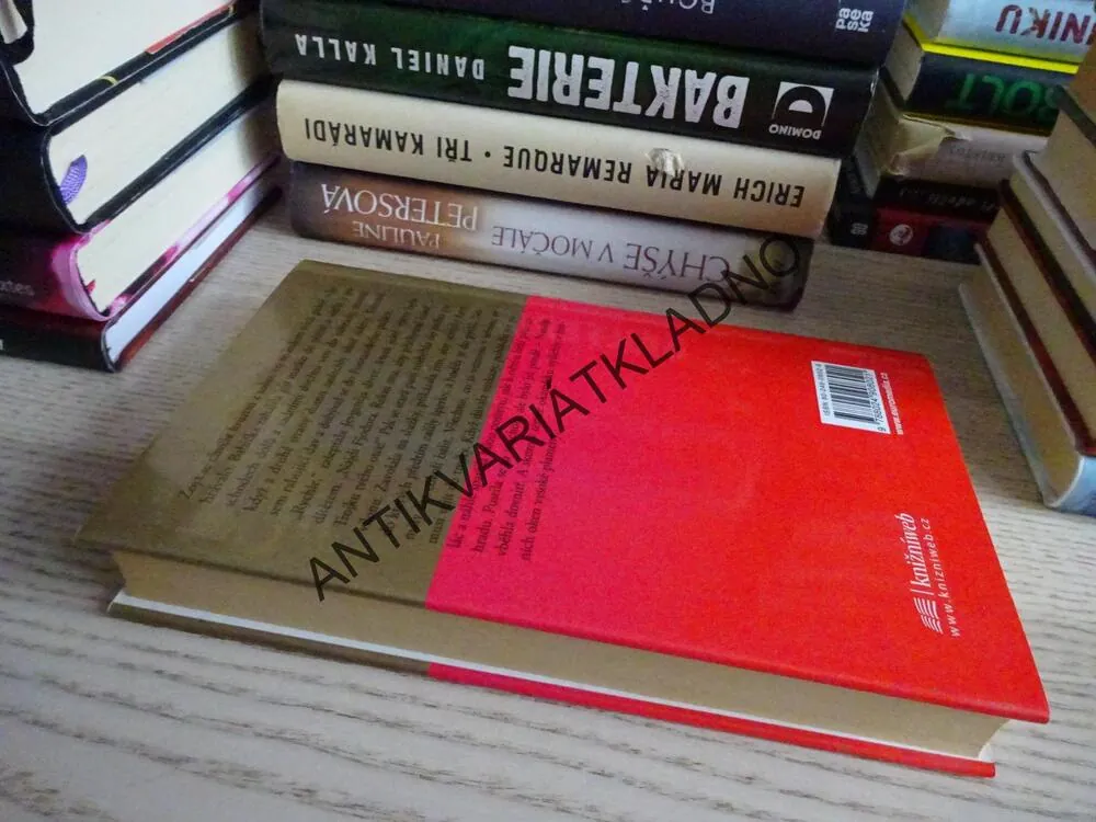 KNĚŽNA, DANIELLE STEEL, **an