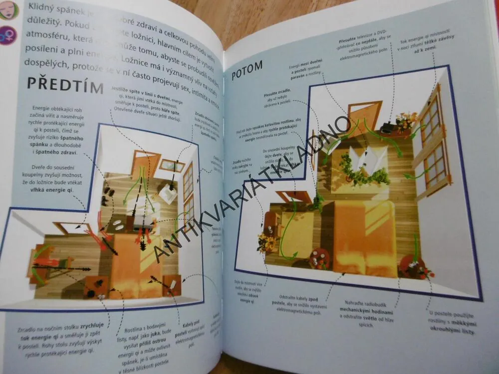 FENG ŠUEJ  PRO  ŠŤASTNÝ DOMOV, SIMON BROWN