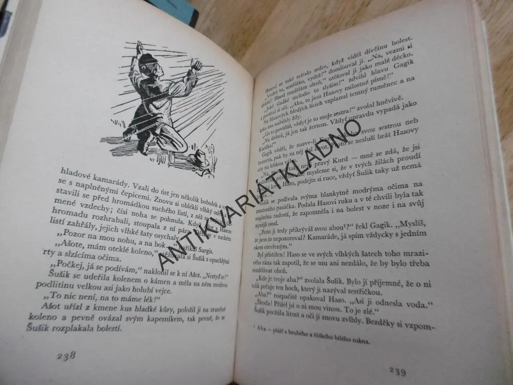 KOD 39 - ZAJATCI PARDÁLÍ SOUTĚSKY, VACHTANG ANANJAN, **an