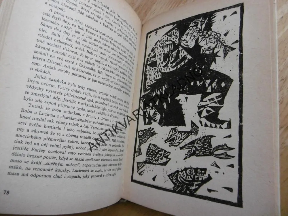 KOD 57 -SEDM SLUNCÍ NA SNĚHU, R.TELDY NAIM, **an