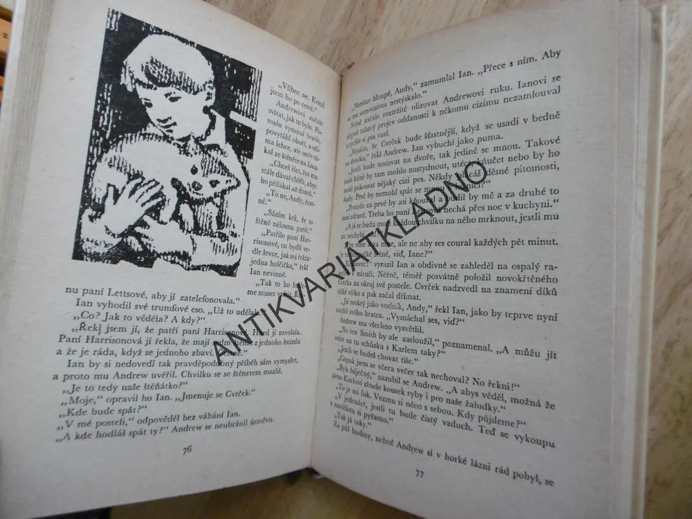 KOD 63 - CHATRČ V HORÁCH, JOHN GUNN , **an