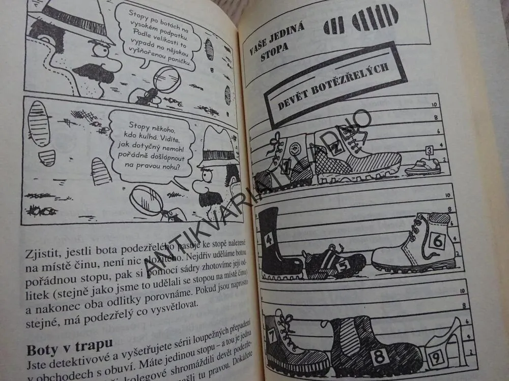 DŮVTIPNÍ DETEKTIVOVÉ, RACHEL WRIGHTOVÁ, **an