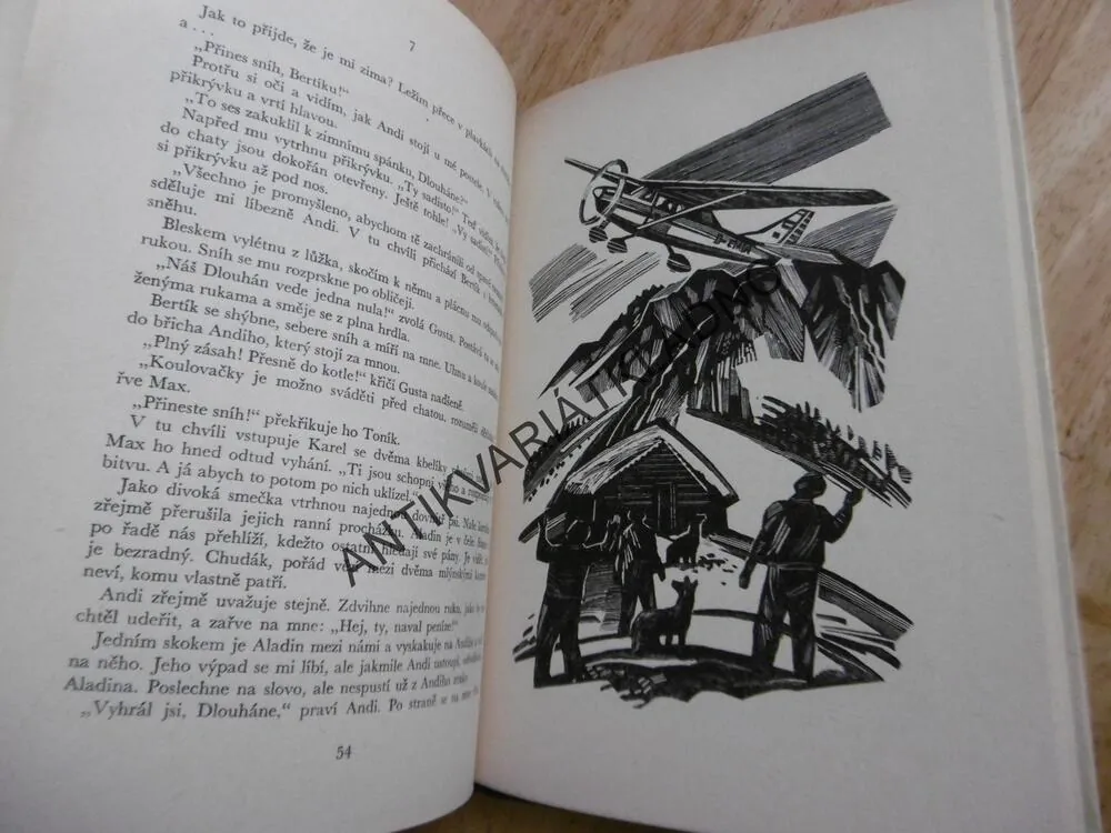 KOD 124 - POZOR- LAVINY! BARBARA BARTOSOVÁ-HÖPPNEROVÁ, **an