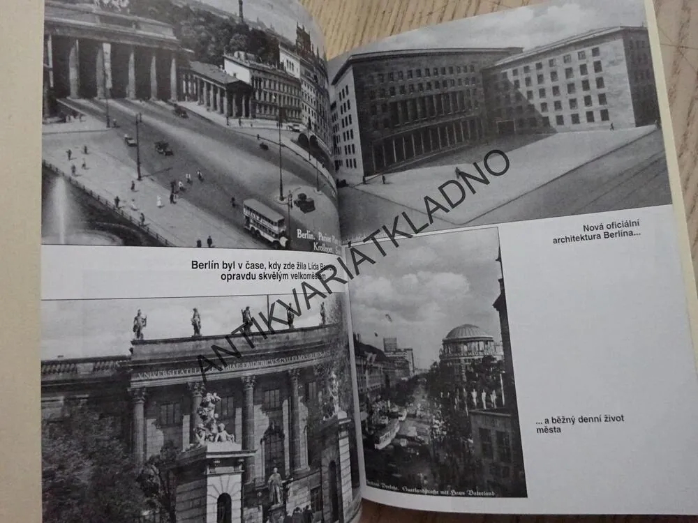 JAK TO BYLO DOOPRAVDY? BAAROVÁ, GOEBBELS, HITLER, NĚMECKÉ ARCHIVY PROMLUVILY!, VERA VOGELER, **an