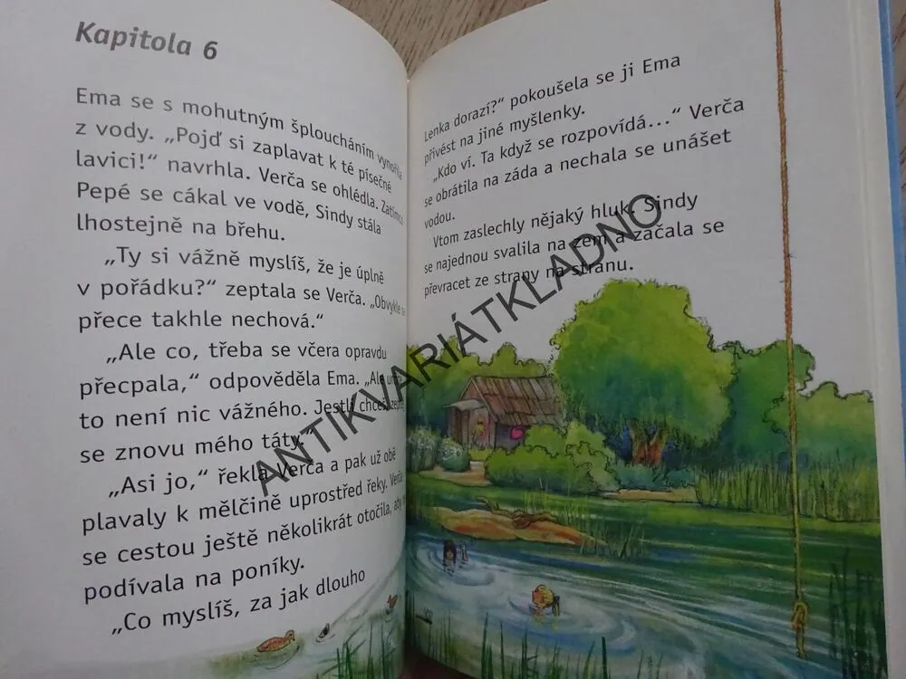 SINDY V NEBEZPEČÍ, RUTH GELLERSENOVÁ, MELANIE BROCKAMPOVÁ, **an