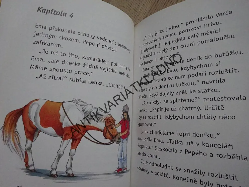 POKLAD V KŮLNĚ, RUTH GELLERSENOVÁ, MELANIE BROCKAMPOVÁ, **an