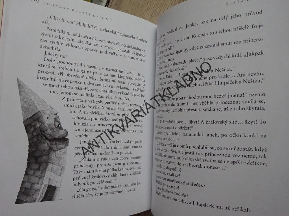 POPELKA A DALŠÍ POHÁDKY BRATŘÍ GRIMMŮ, MELITA DENKOVÁ, MARKÉTA PRACHATICKÁ, **an