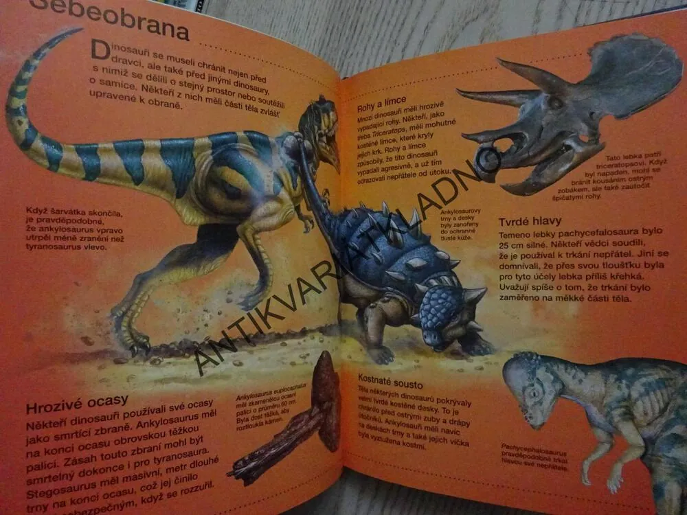 DINOSAUŘI, OBJEVUJTE S NÁMI, **an