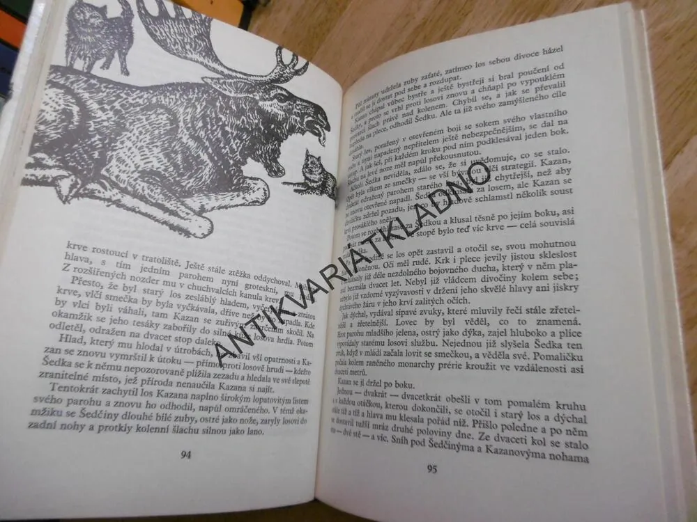 KOD 145 - VLČÁK KAZAN, BARÍ, SYN KAZANŮV, JAMES OLIVER CURWOOD, **an