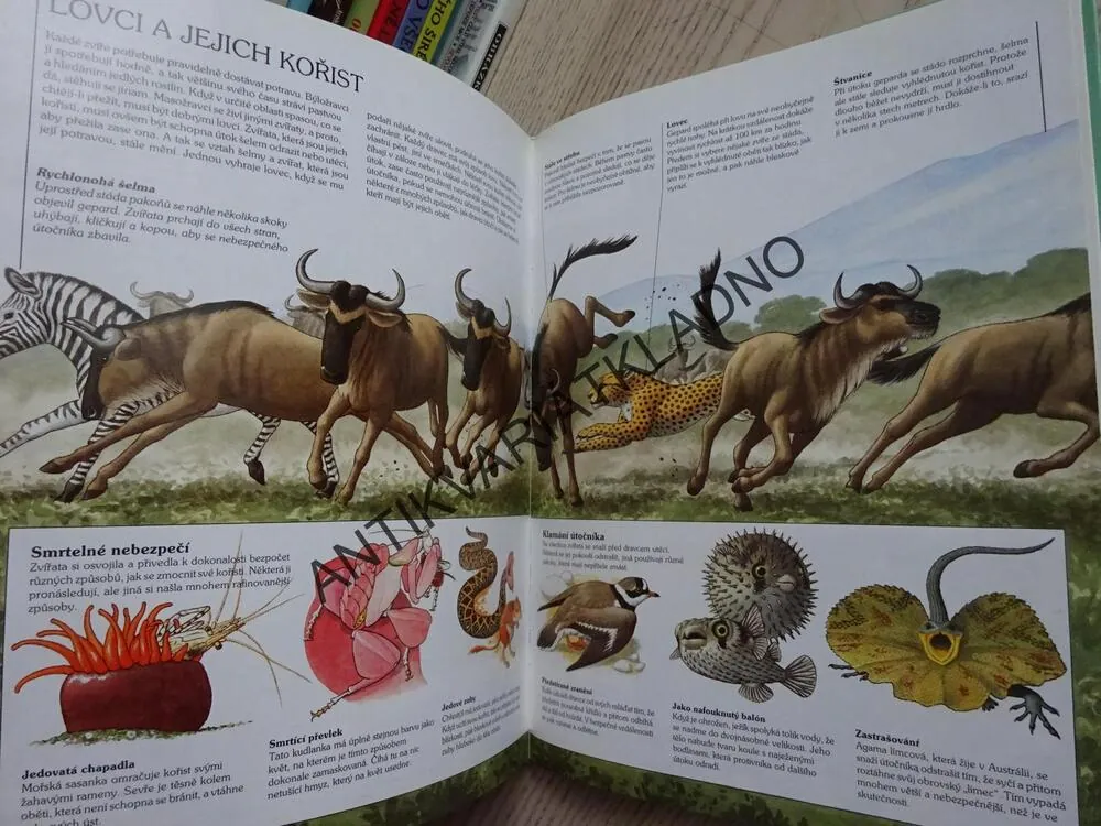 ZVÍŘATA A JEJICH SVĚT, DR. JOHN FELTWELL, **an