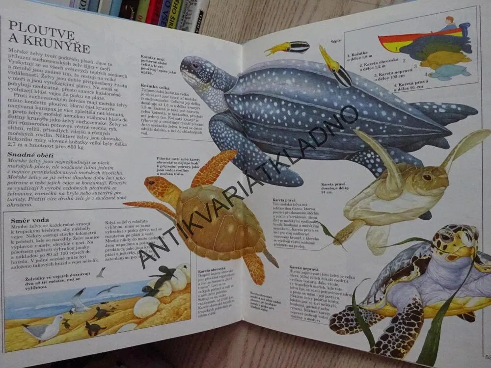 ŽRALOCI A JINÍ OBYVATELÉ MOŘSKÝCH HLUBIN, PHILIP STEELE, **an