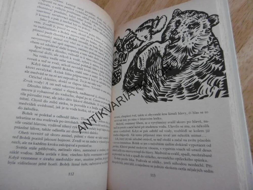 KOD 155 -TAJEMSTVÍ PYTLÁCKÉ JESKYNĚ, VJAČESLAV PALMAN, **an