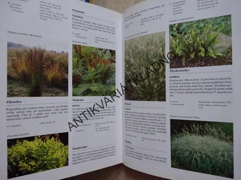 ENCYKLOPEDIE ZAHRADNÍCH ROSTLIN, KLAAST T. NOORDHUIS, **an
