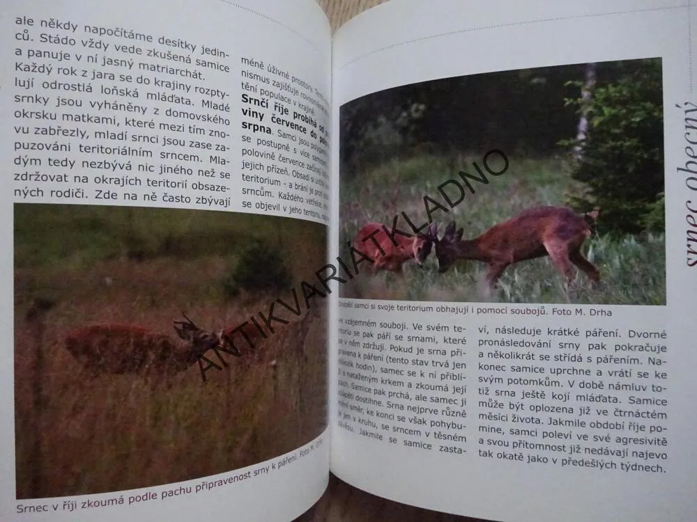 JELENOVITÍ NA ŠUMAVĚ, PAVEL ŠUSTR, **an