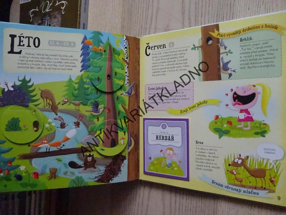 ROK V LESE, PETRA BARTÍKOVÁ, ANETA ŽABKOVÁ, **an