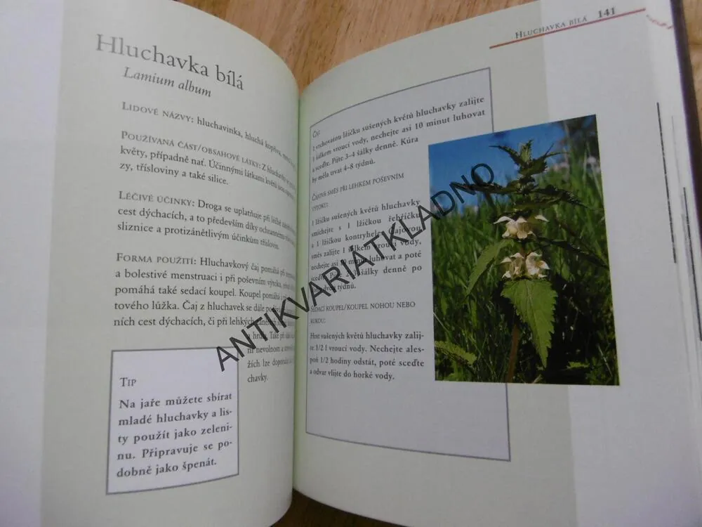 PŘÍRODNÍ MEDICÍNA, LÉČIVÉ ROSTLINY OD A DO Z,