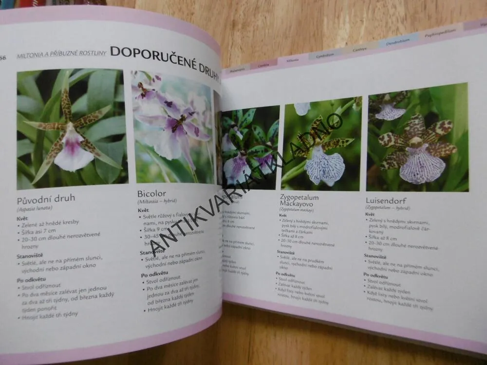 RYCHLÝ RÁDCE ORCHIDEJE, 99 RAD PRO RYCHLÉ ŘEŠENÍ PROBLÉMŮ