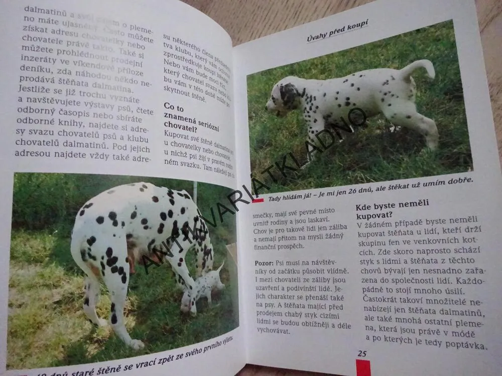 DALMATIN, HORTS BIELFELD, **an