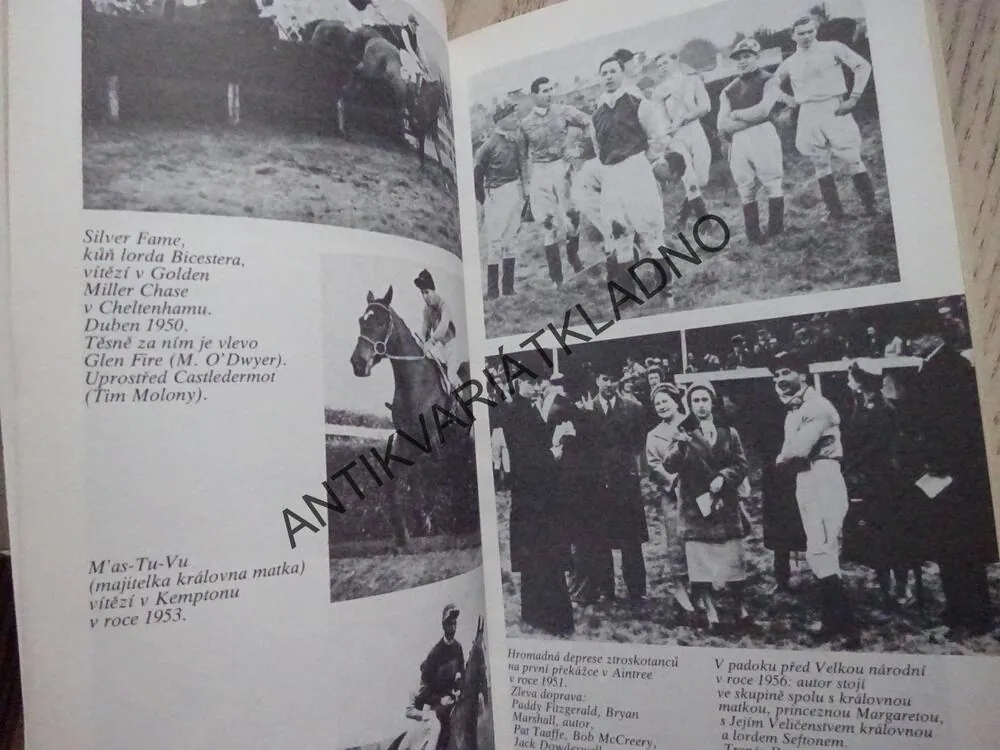 SPORT KRÁLOVEN, DICK FRANCIS,**an 