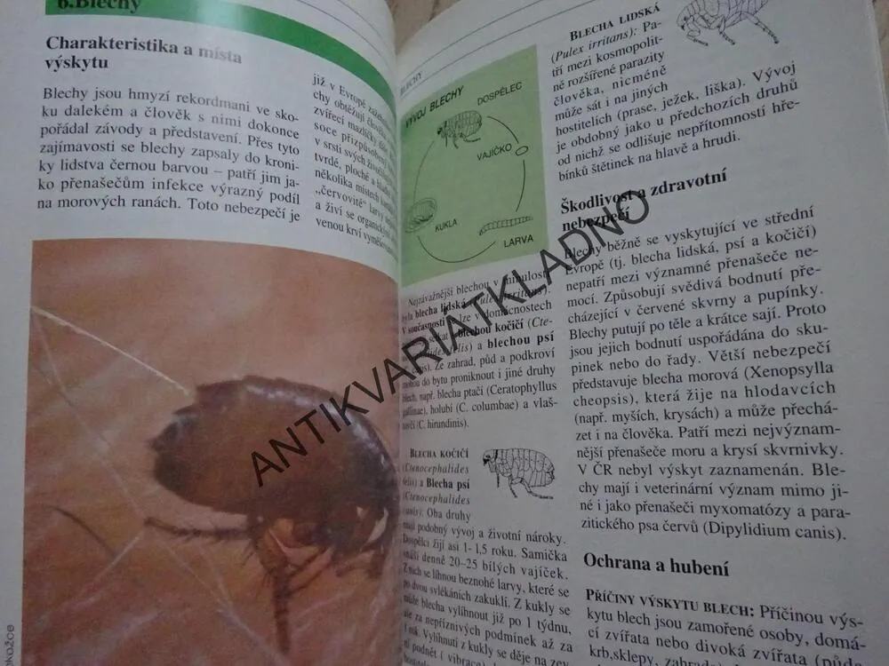 KLÍŠŤATA, KOMÁŘI, BLECHY, VOSY A JINÍ BODAVÍ ŠKŮDCI OHROŽUJÍCÍ ZDRAVÍ, VÁCLAV STEJSKAL, **an